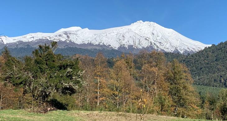 VOLCAN MOCHO