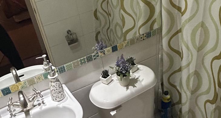 Baño visita