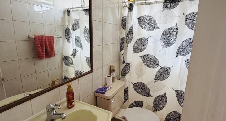 baño visita con ducha 3