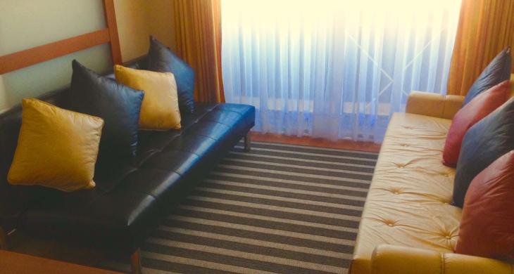 Living con salida a balcon y terraza 