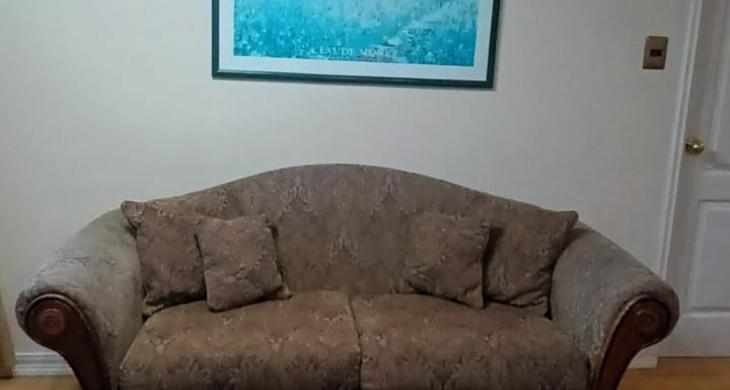 SOFA PARA 2 O 3 PERSONAS, HERMOSAS ALFOMBRAS, CUADROS DECORATIVOS Y LAMPARAS CON BUENA ILUMINACION