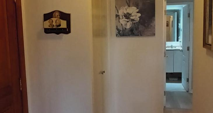 PUERTA DE ACCESO AL RECIBIDOR DEL DEPARTAMENTO QUE CONECTA HACIA LIVING COMEDOR Y HABITACIONES DE LA PROPIEDAD