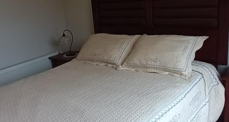 VISTA GENERAL HACIA HABITACION PRINCIPAL QUE DESTACA SU HERMOSA LAMPARA QUE CUENTA CON EXCELENTE ILUMINACION