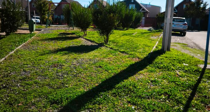 AREAS VERDES