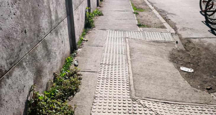 VEREDA