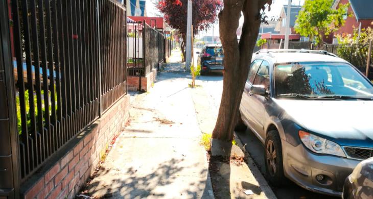 VEREDA
