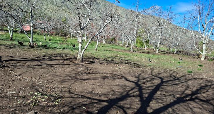 Amplitud del terreno