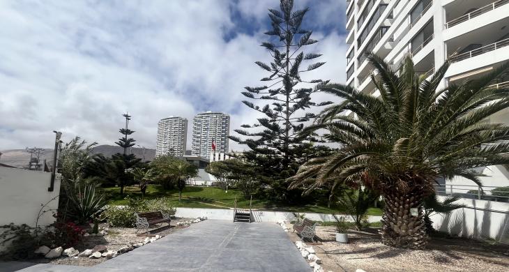 Hermoso parque en su interior 