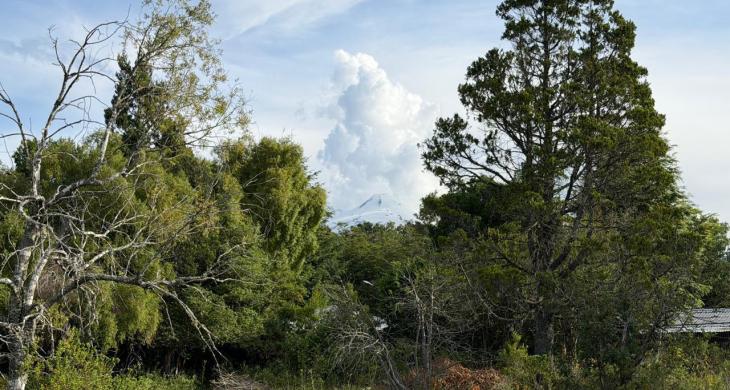 Vista al volcán desde la parcela