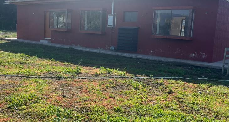 Patio trasero 