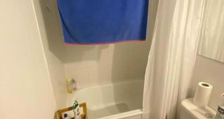 Baño con tina